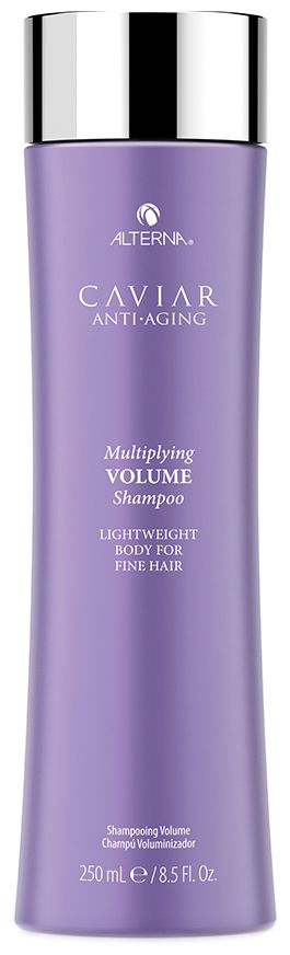alterna shampoo