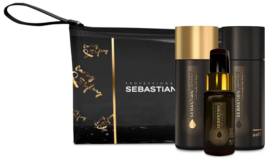 Sebastian Professional Dark Oil Smooth and Shine Hair Gift Set