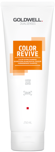 Goldwell Dualsenses Color Revive Shampoo