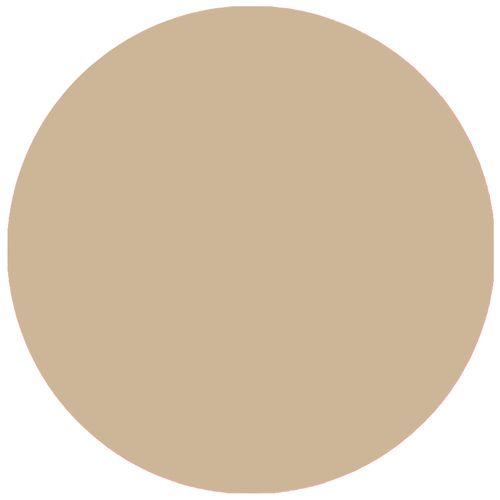 Alessandro Nagellack Oriental Spirit