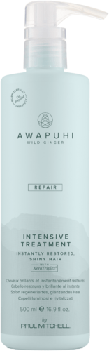 Paul Mitchell Awapuhi Wild Ginger Repair Intensive Treatment