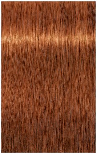 Schwarzkopf Igora Royal 