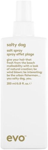 evo Salty Dog Salt Spray - 200ml