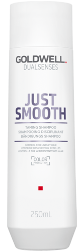 Goldwell Dualsenses Just Smooth Shampoo - 250 ml