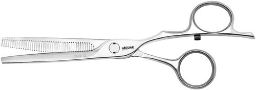 Jaguar Fame 42