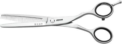 Jaguar Kamiyu T 33