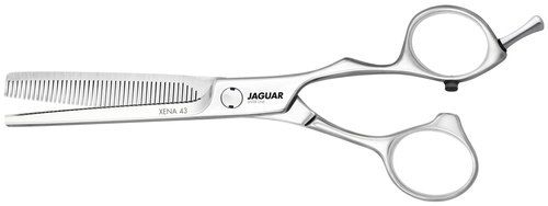 Jaguar Xena 43