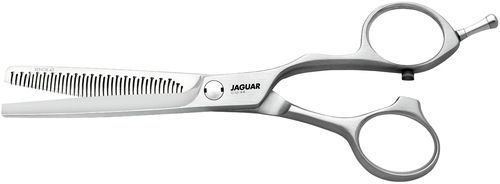 Jaguar Xenox 43 6.0