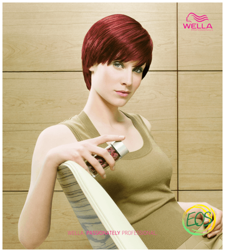 Wella EOS Cartella colori