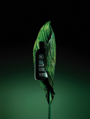 Paul Mitchell Tea Tree Special Shampoo