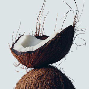 Aveda Botanical Repair