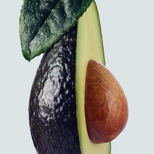 Aveda Botanical Repair Inhaltsstoffe