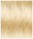 55081