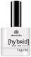 Alessandro Hybrid Lack Top Coat