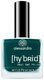 Alessandro Hybrid Lack - Wild Peacock