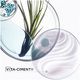Bain Force Architecte