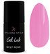 Juliana Nails Gel Lack Rosa & Pinktöne - Deep Rose