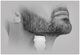 Remington Graphite G4 Groom Kit PG4000