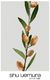 Shu Uemura Silk Bloom Maske