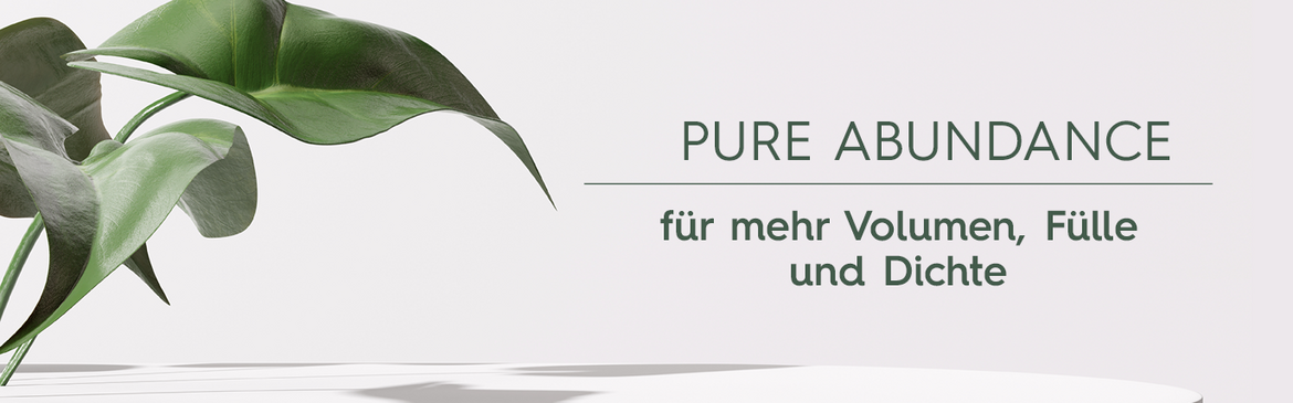 Aveda Pure Abundance